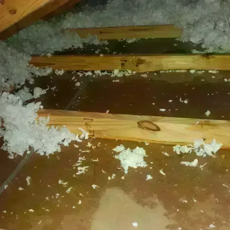 Attic Water Damage in Newark, OH