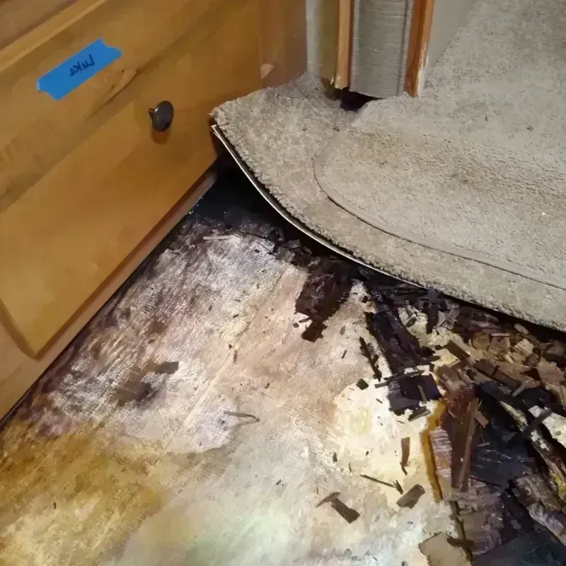 Wood Floor Water Damage in Newark, OH